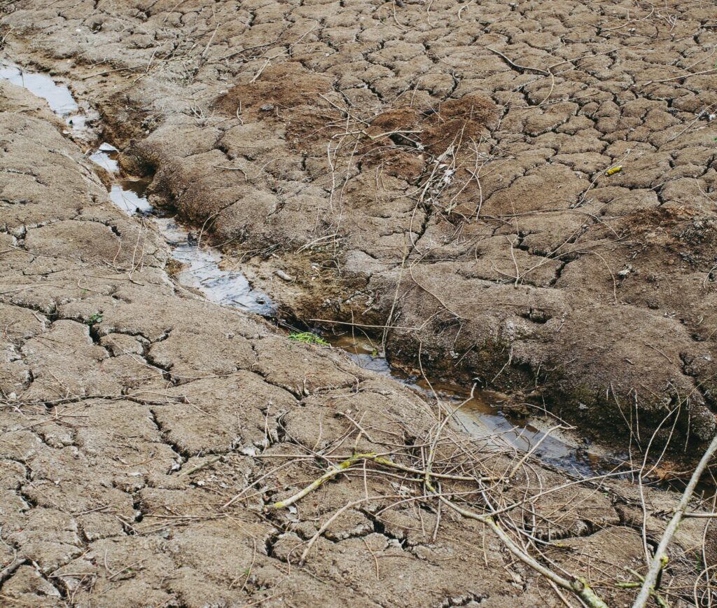 Agricoltura biodinamica:una risposta concreta alla siccità