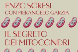 Il segreto dei mitocondri